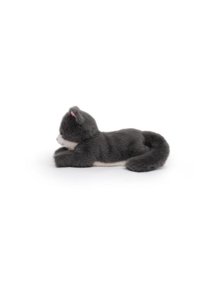 GATO GRIS MISTY